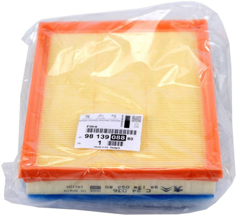 Воздушный фильтр Peugeot/Citroen 9813908880