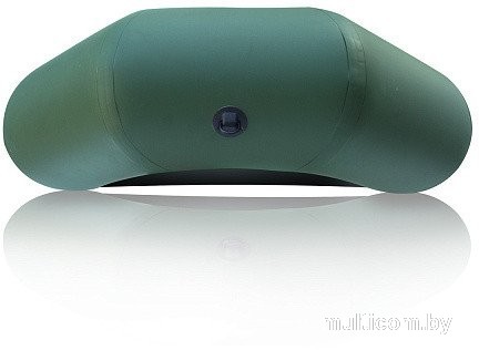 Моторно-гребная лодка Leader Boats Компакт-260 0082200 (зеленый)