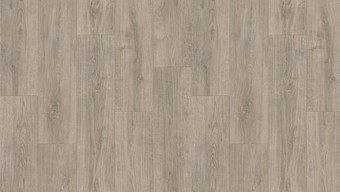 Линолеум Tarkett Sigma Coventry 1 (2.5x3.5м)