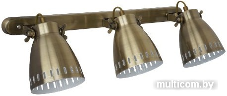 Точечный светильник Camelion New York WML-428-3 (медный)