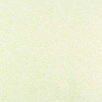 Жидкие обои Silk Plaster Master Silk I 162