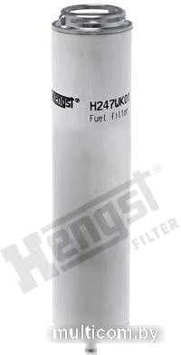 Hengst H247WK01