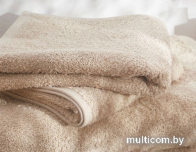 Полотенце Guten Morgen 70x140 ПМЛнс-70-140 (лунный свет)