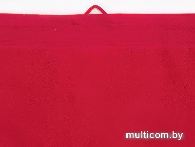 Полотенце Guten Morgen 30x50 ПМкр-30-50 (красный)