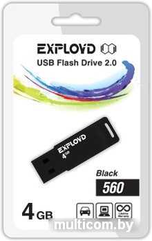 USB Flash Exployd 560 4GB (черный) [EX-4GB-560-Black]