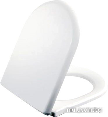 Сиденье для унитаза Creavit Terra KC2203.01.0000E