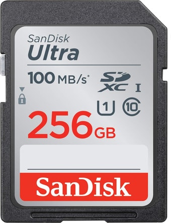 Карта памяти SanDisk Ultra SDXC SDSDUNR-256G-GN6IN 256GB