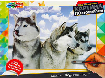 Картина по номерам MultiArt Лайки CANV30X40-MULTI47