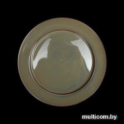 Тарелка обеденная Corone Gourmet Colore LQ-QK15173D-YB001 фк1452