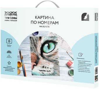 Картина по номерам Три совы Кошачий взгляд КХ_44139