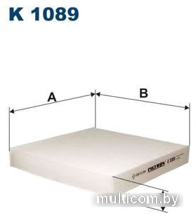 Filtron K1089