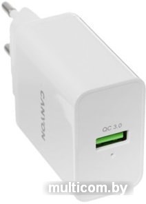 Сетевое зарядное Canyon CNE-CHA24W