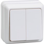 Выключатель EKF Мурманск 2кл 10А IP54 (серый)