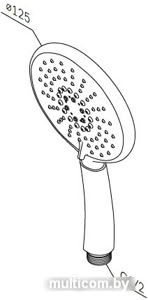 Душевая лейка AM.PM Bliss L F0253100