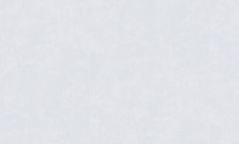 Виниловые обои Erismann Light 4 60271-06