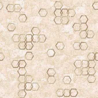 Бумажные обои Гомельобои Модерн 9С6К к-51