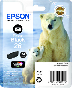 Картридж Epson C13T26114010