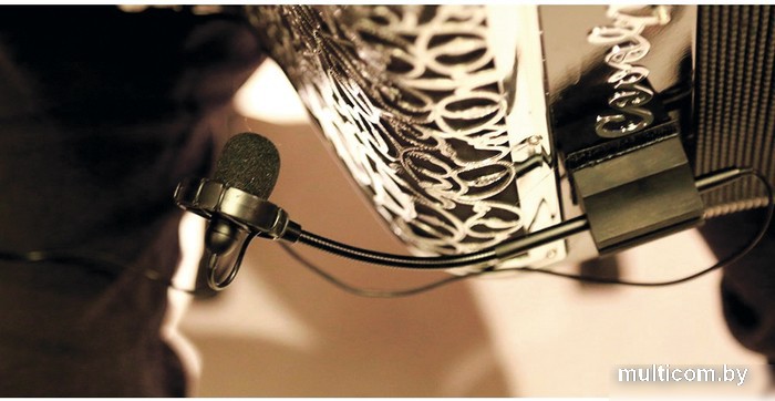 Комплект проводных микрофонов Prodipe AL21 Romanelli Accordion