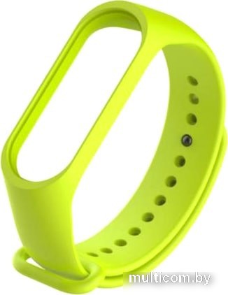 Ремешок Evolution XMB5-S01 для Xiaomi Mi Band 5/Mi Smart Band 5 (салатовый)