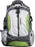 Рюкзак Wenger Large Volume Daypack 1591-15 (серый)