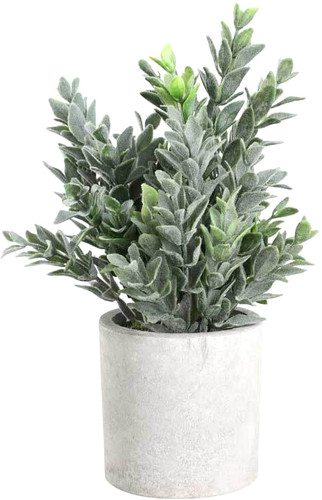 Искусственное растение Eglo Chitose 428027 (пластик, коричневый/зеленый)