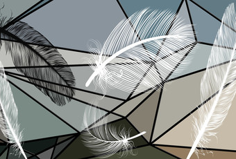 Фотообои Vimala Перья 16 270x400