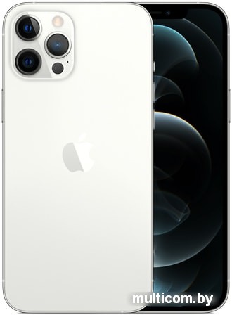 Смартфон Apple iPhone 12 Pro Max 512GB (серебристый)