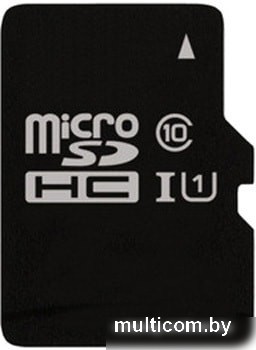 Карта памяти Perfeo PF4GMCSH10 microSDHC 4GB