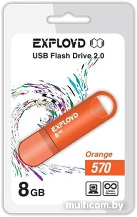 USB Flash Exployd 570 8GB (оранжевый)