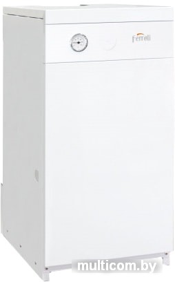 Отопительный котел Ferroli Torino 30 0QN010YA