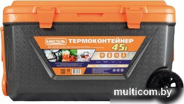 Термобокс BIOSTAL CB-G-K 45л (черный/оранжевый)