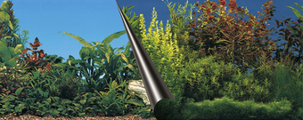 Фон Aqua Della Beauty & Sea 120x50 см 241/108956