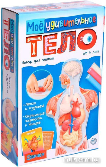 Эврики Мое удивительное тело 5540143