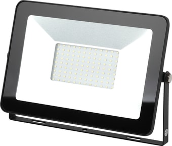Прожектор ЭРА LPR-100-6500K SMD Eco Slim Б0036387