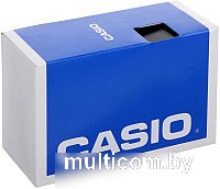 Наручные часы Casio B640WC-5AEF