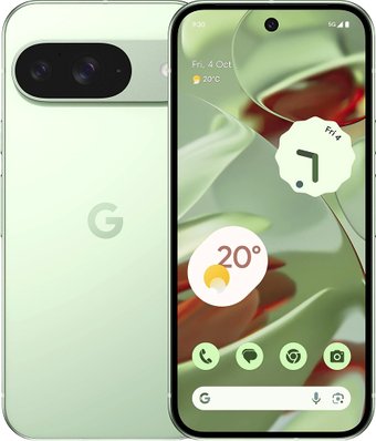 Телефон Google Pixel 9 12GB/256GB (винтергрин)