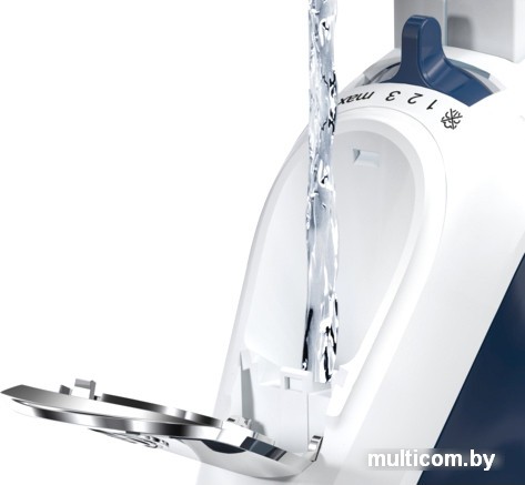 Утюг Bosch TDA5024210