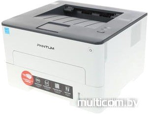 Принтер Pantum P3010D