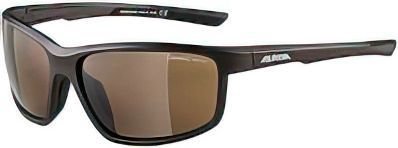Солнцезащитные очки Alpina Defey A86453-20 (Tin Matt)