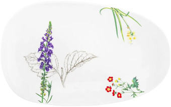 Блюдо Elan Gallery Ботанический атлас 540793