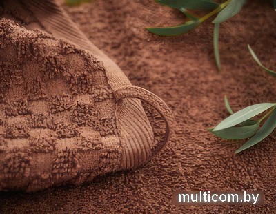 Полотенце Guten Morgen 50x100 ПМк-50-100 (какао)