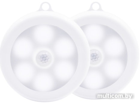 Точечный светильник ArtStyle CL-W2x05W