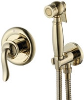 Смеситель Lemark Brava LM4719G