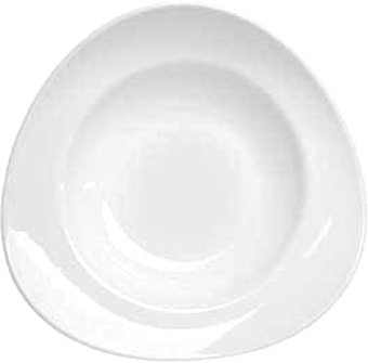 Тарелка глубокая Tudor England TU2255