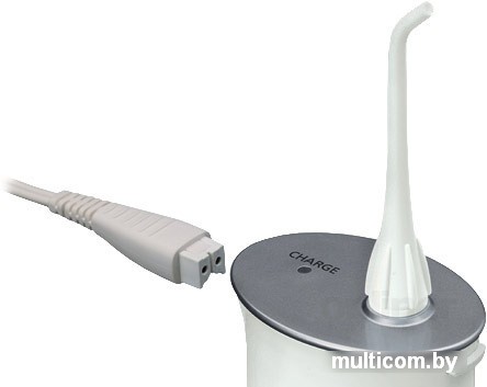 Ирригатор Panasonic EW-DJ40