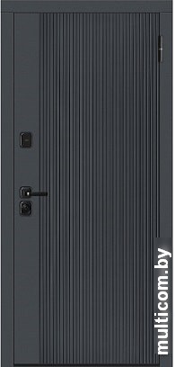 Металлическая дверь Металюкс М748/1 Z (87x205)