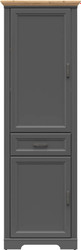 Шкаф распашной BRW Jasmin REG2D1S (графит/дуб артизан)