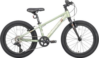 Детский велосипед Maxiscoo 5bike 20 M200 2025 MSC-M5-2011 (хаки)