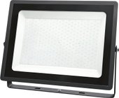 Уличный прожектор Neox ДДО-8 300Вт 230В 6500К 31500Лм