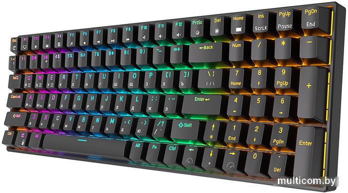 Клавиатура Royal Kludge RK100 RGB (черный, RK Red)